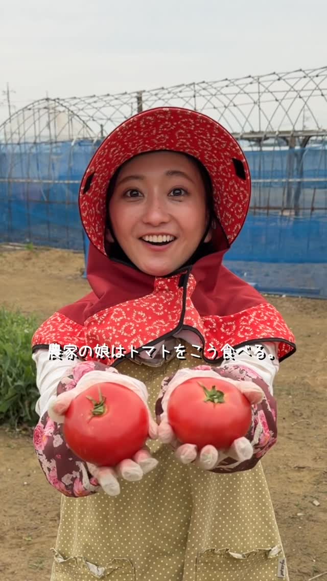こぴとの代表コラボレーション